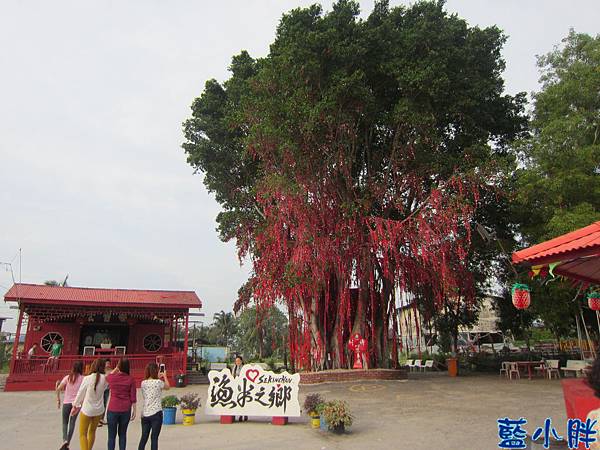 IMG_3905.JPG IMG_3905.JPG