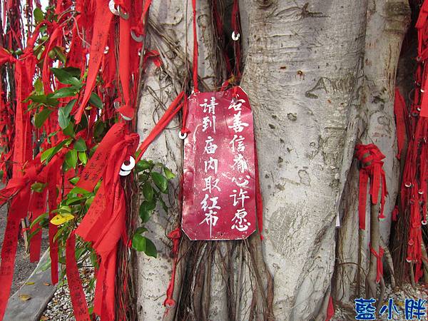 IMG_3909.JPG IMG_3909.JPG