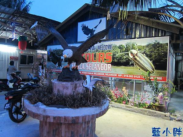 IMG_3919.JPG IMG_3919.JPG