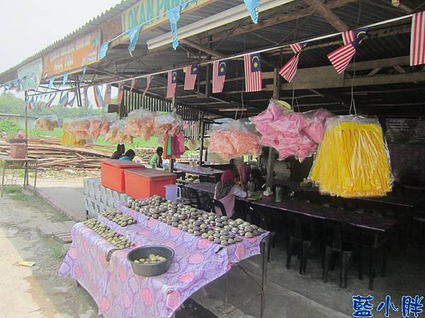 IMG_5737.JPG IMG_5737.JPG