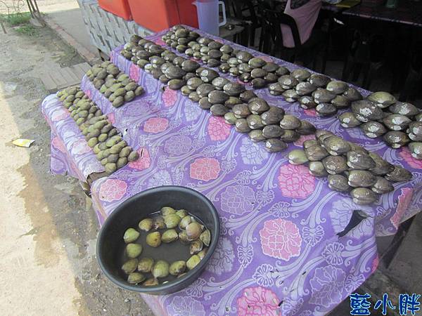 IMG_5739.JPG IMG_5739.JPG