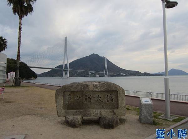 IMG_7349.JPG IMG_7349.JPG