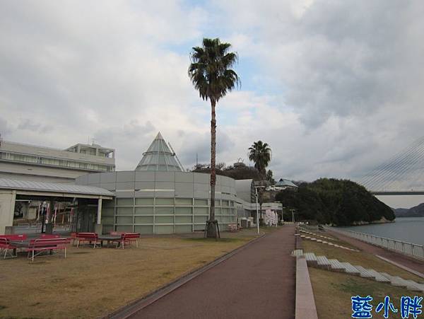 IMG_7353.JPG IMG_7353.JPG