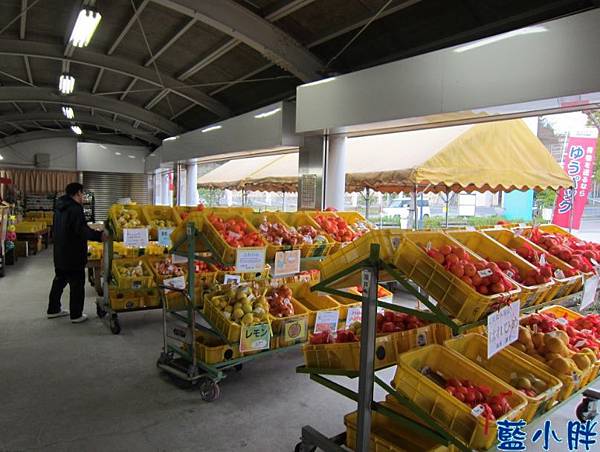 IMG_7354.JPG IMG_7354.JPG