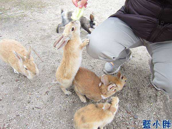 IMG_7473.JPG IMG_7473.JPG