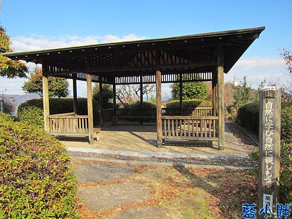 IMG_7701.JPG IMG_7701.JPG