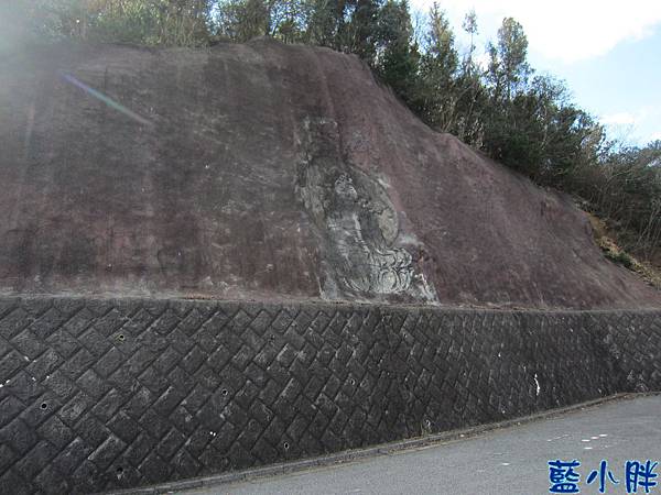 IMG_7703.JPG IMG_7703.JPG