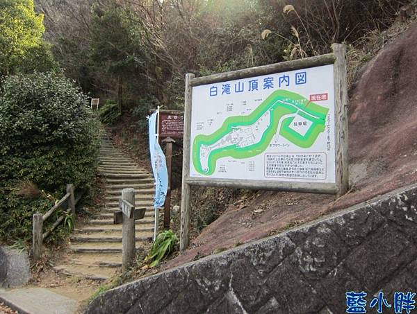 IMG_7704.JPG IMG_7704.JPG