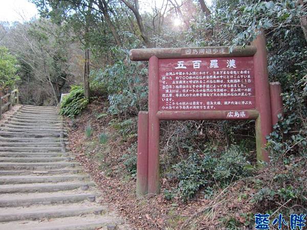 IMG_7705.JPG IMG_7705.JPG