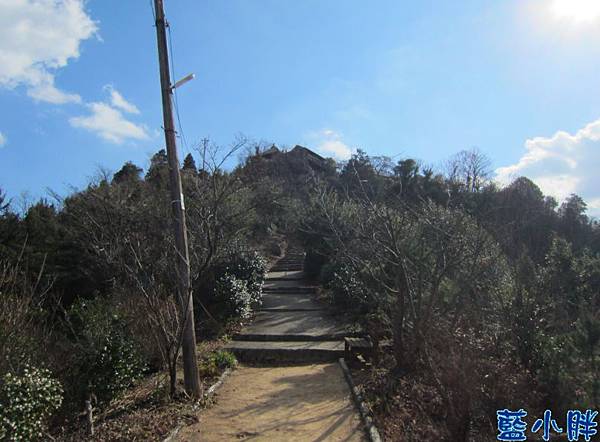 IMG_7707.JPG IMG_7707.JPG