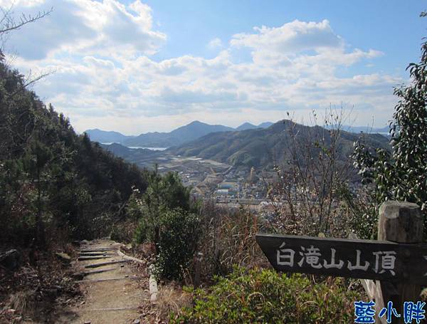 IMG_7708.JPG IMG_7708.JPG