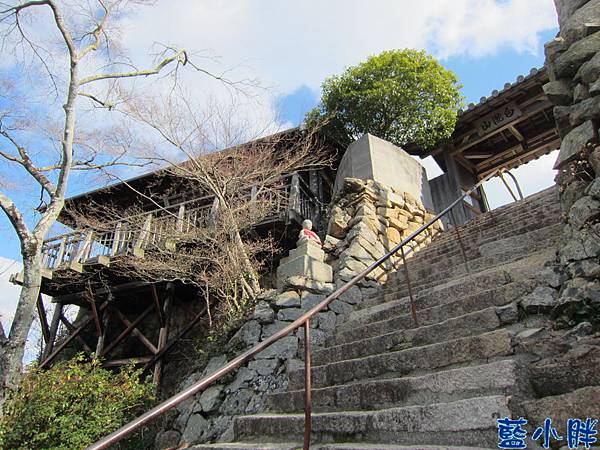 IMG_7711.JPG IMG_7711.JPG