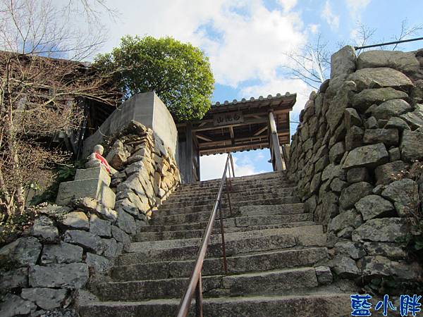 IMG_7713.JPG IMG_7713.JPG