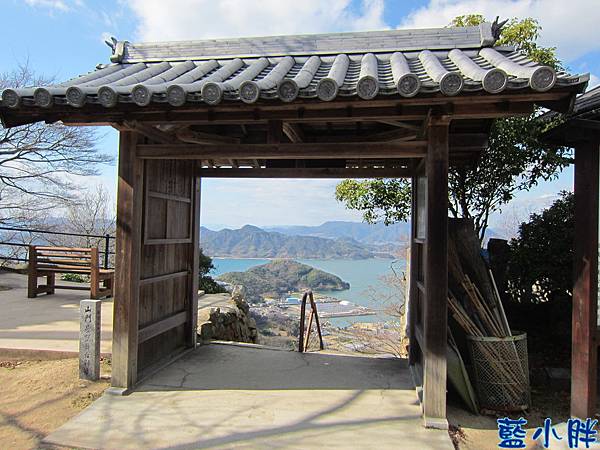 IMG_7715.JPG IMG_7715.JPG