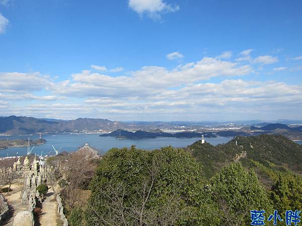 IMG_7738.JPG IMG_7738.JPG