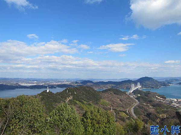 IMG_7739.JPG IMG_7739.JPG