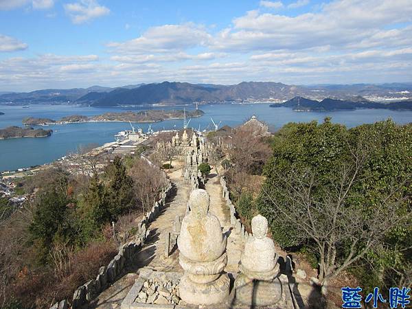 IMG_7740.JPG IMG_7740.JPG