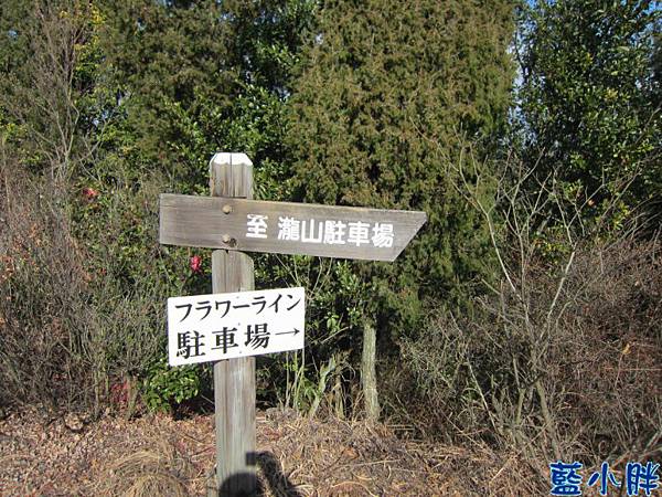 IMG_7743.JPG IMG_7743.JPG