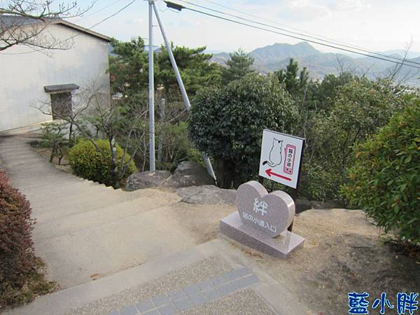 IMG_7823.JPG IMG_7823.JPG