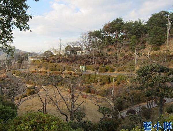 IMG_7830.JPG IMG_7830.JPG