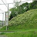 北海道 (273).JPG