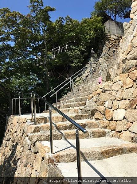 IMG_2415.JPG IMG_2415.JPG