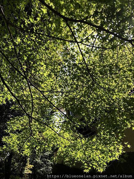岐阜多治見 虎溪山 永保寺 岐阜多治見 虎溪山 永保寺