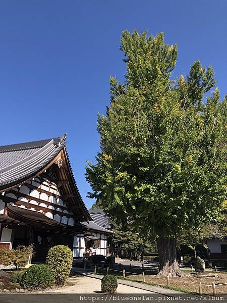 岐阜多治見 虎溪山 永保寺 岐阜多治見 虎溪山 永保寺
