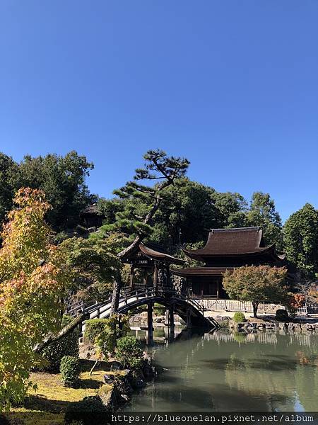 岐阜多治見 虎溪山 永保寺