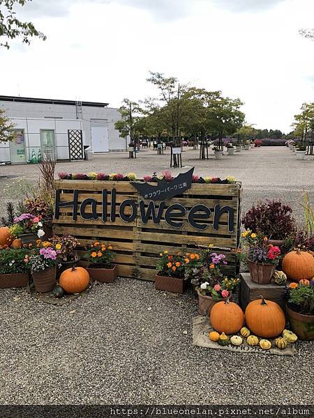 国営木曽三川公園(更新2024/03) 国営木曽三川公園(更新2024/03)