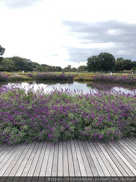 国営木曽三川公園(更新2024/03)