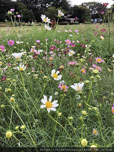 国営木曽三川公園(更新2024/03) 国営木曽三川公園(更新2024/03)