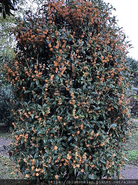 国営木曽三川公園(更新2024/03) 国営木曽三川公園(更新2024/03)