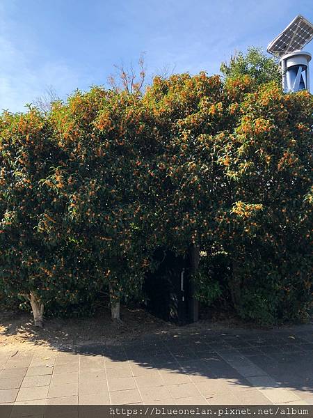 日本高速公路休息站-刈谷PA & 刈谷ハイウェイオアシス