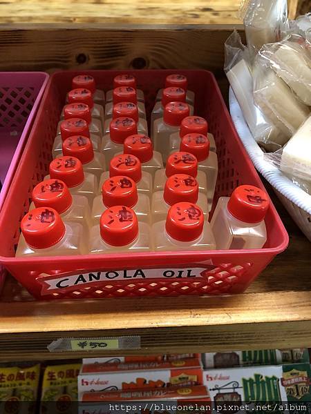 日本長野上高地住小木屋-上高地 森のリゾート小梨