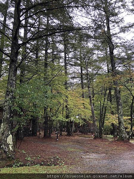 日本長野上高地住小木屋-上高地 森のリゾート小梨