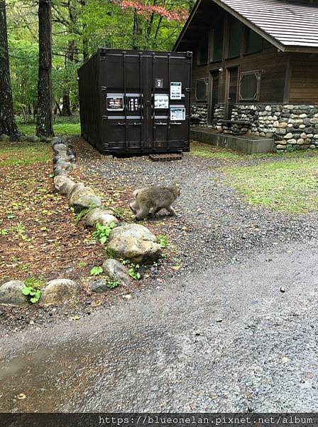 日本長野上高地住宿-上高地 森のリゾート小梨