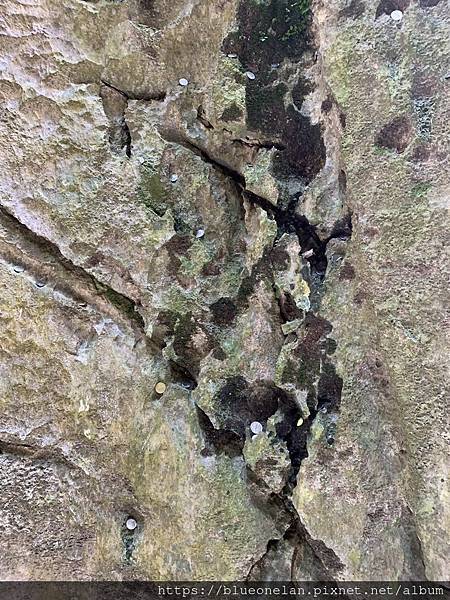 馬來西亞怡保喝咖啡-建龙长江白咖啡 Kin Loong Va