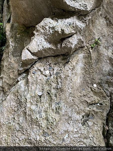馬來西亞怡保喝咖啡-建龙长江白咖啡 Kin Loong Va
