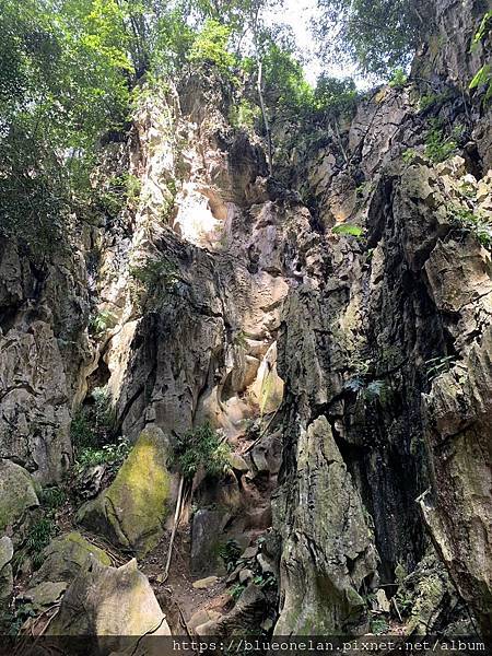 馬來西亞怡保喝咖啡-建龙长江白咖啡 Kin Loong Va 馬來西亞怡保喝咖啡-建龙长江白咖啡 Kin Loong Va