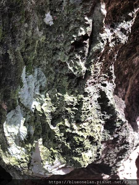 馬來西亞怡保喝咖啡-建龙长江白咖啡 Kin Loong Va 馬來西亞怡保喝咖啡-建龙长江白咖啡 Kin Loong Va