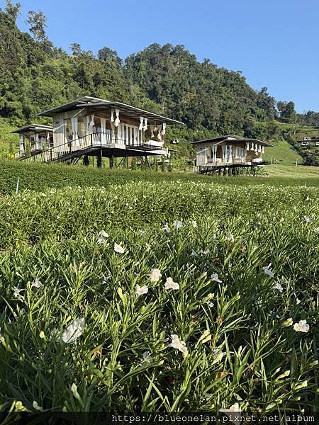 202411月 清邁水燈節&萬人天燈之旅 202411月 清邁水燈節&萬人天燈之旅