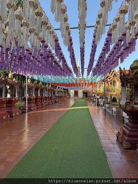 202411月 清邁水燈節&萬人天燈之旅