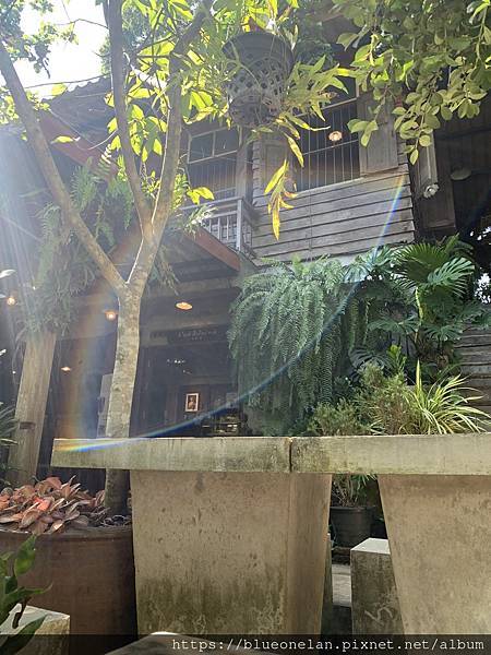 202411月 清邁水燈節&萬人天燈之旅