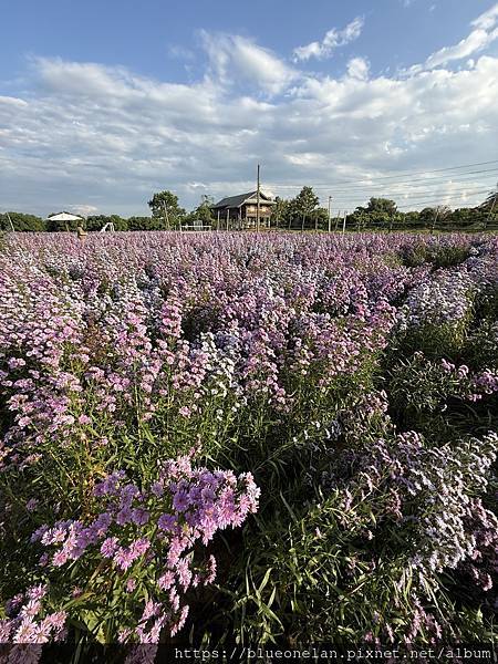 202411月 清邁水燈節&萬人天燈之旅 202411月 清邁水燈節&萬人天燈之旅