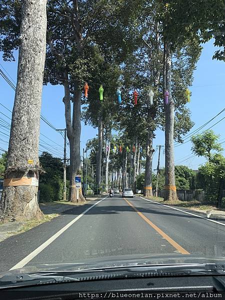 202411月 清邁水燈節&萬人天燈之旅 202411月 清邁水燈節&萬人天燈之旅