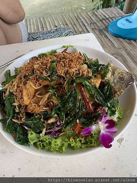 202411月 清邁水燈節&萬人天燈之旅