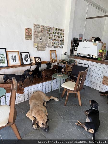 202411月 清邁水燈節&萬人天燈之旅 202411月 清邁水燈節&萬人天燈之旅