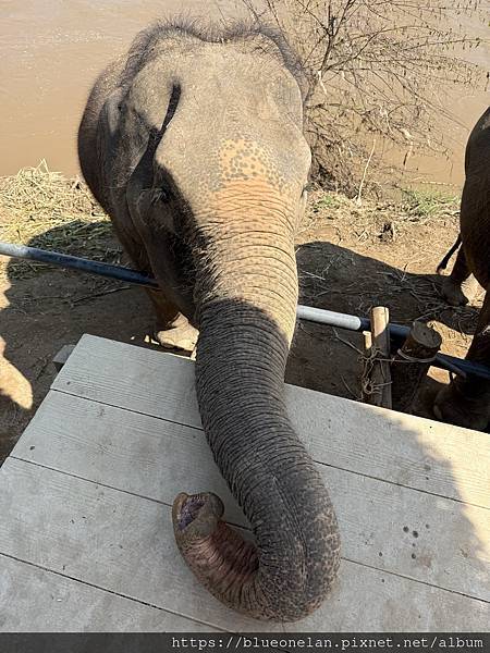 202411月 清邁水燈節&萬人天燈之旅 202411月 清邁水燈節&萬人天燈之旅