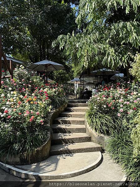 202411月 清邁水燈節&萬人天燈之旅 202411月 清邁水燈節&萬人天燈之旅